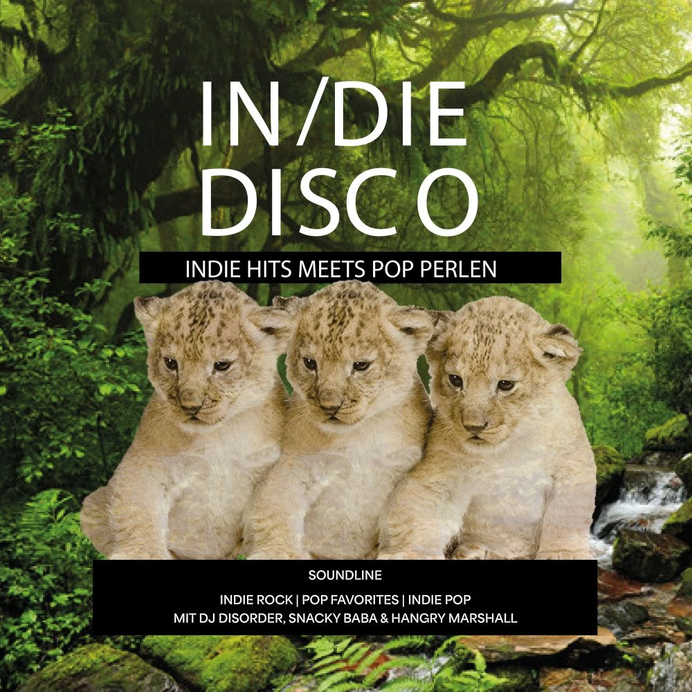 In/die Disco