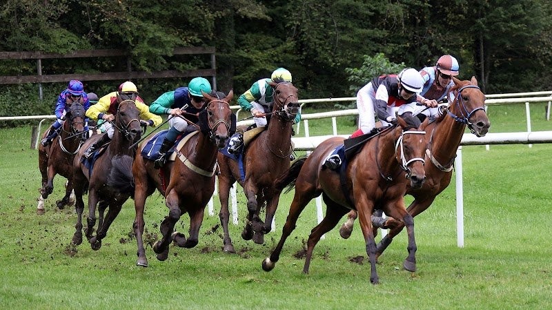 Pferderennbahn Schachen Aarau