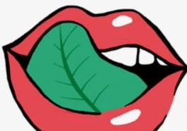 Vegan Party München – 1/1