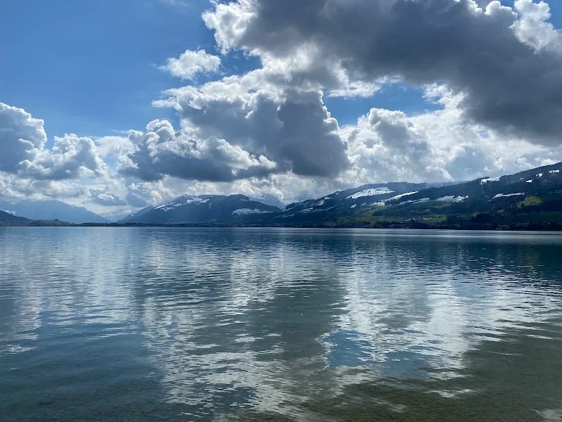 Zürichsee