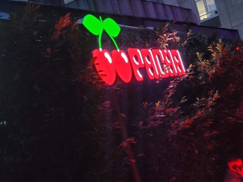 Pacha