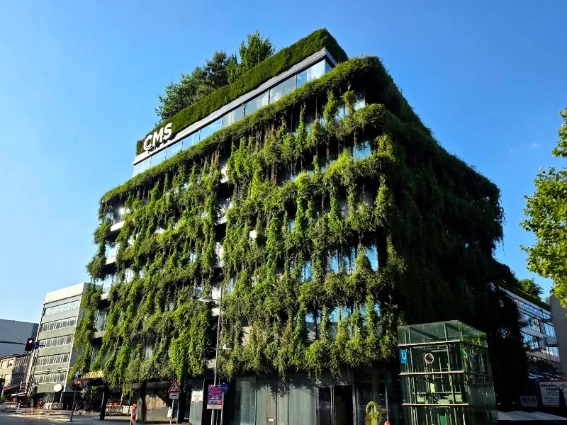 Begrüntes Haus