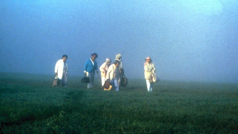 The Company of Strangers