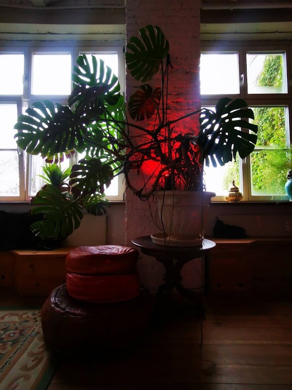 UHU - Urban Healing Unit