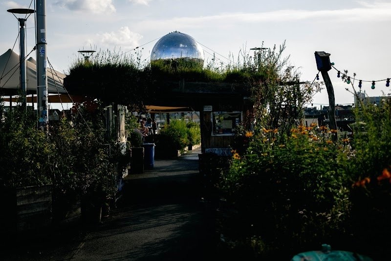 Klunkerkranich