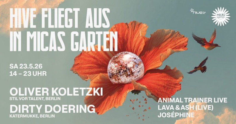 Hive fliegt aus in Micas Garten
