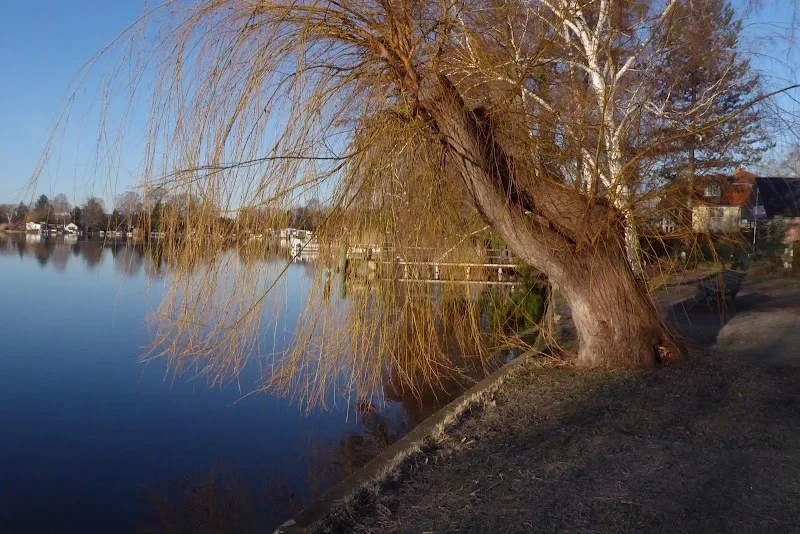 Bezirk Reinickendorf