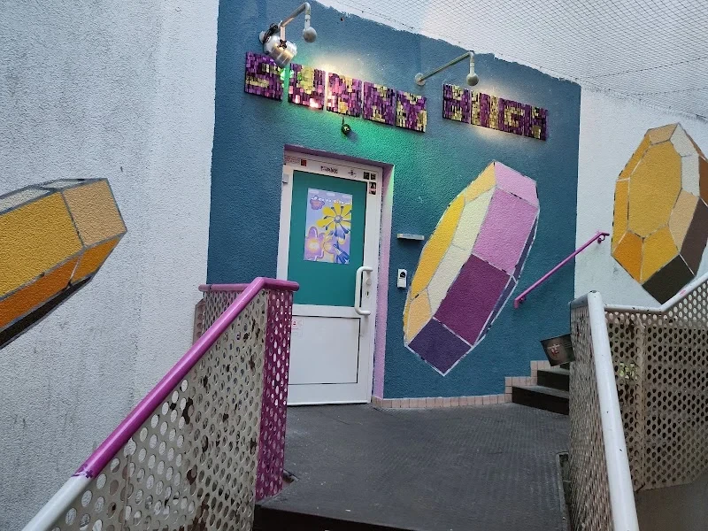 Sunny High Club